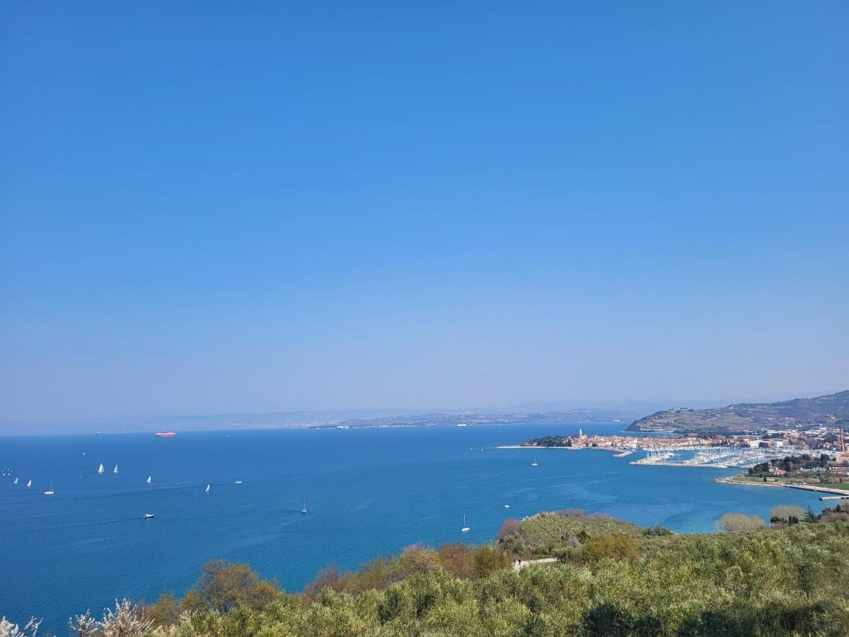 Apartmaji Tim Izola Bagian luar foto